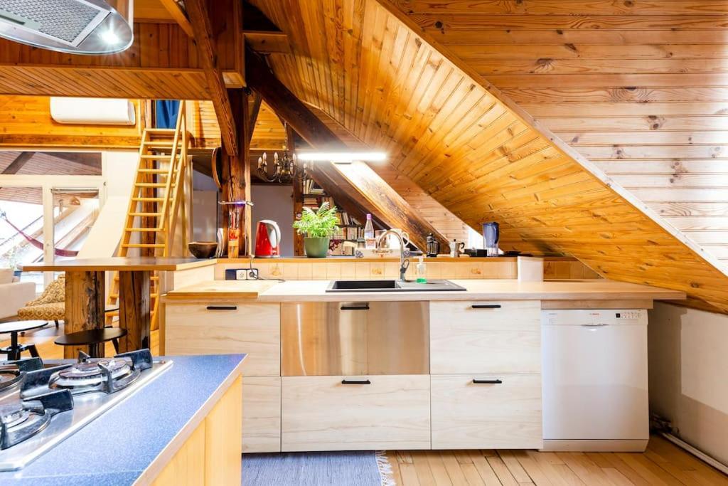 Rooftop 180M2 Loft With Private Sauna, Bratislava Exteriér fotografie