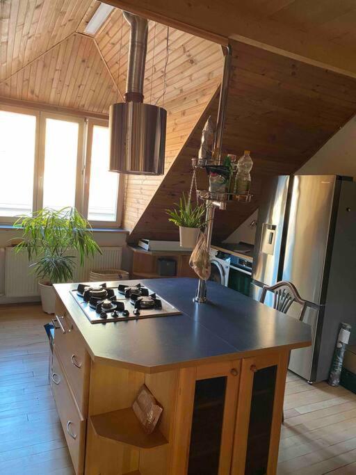 Rooftop 180M2 Loft With Private Sauna, Bratislava Exteriér fotografie