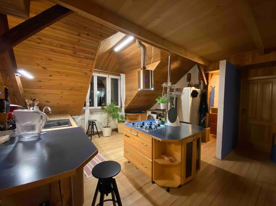 Rooftop 180M2 Loft With Private Sauna, Bratislava Exteriér fotografie